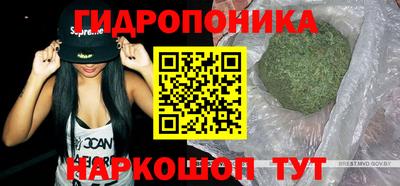 прущие крисы Лесосибирск